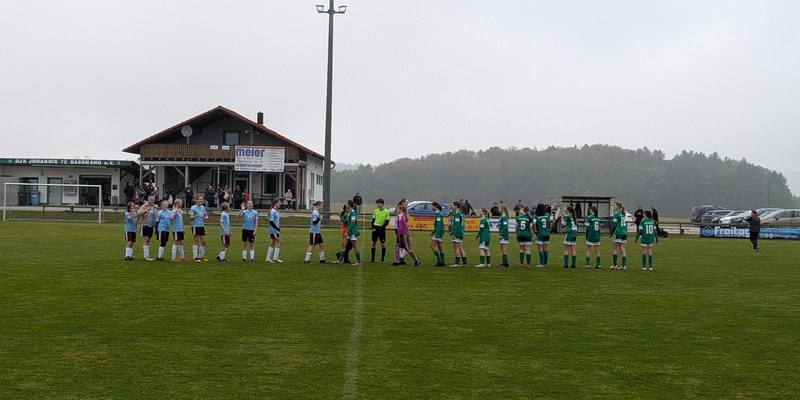 Begrüßung der Teams vor dem Anpfiff